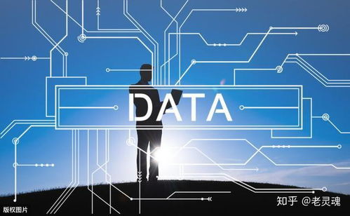 大数据的处理流程与数据处理服务概述