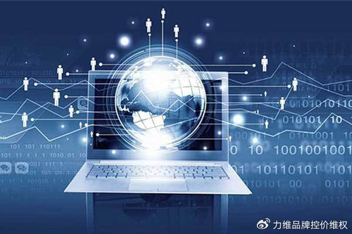 专业电商数据分析服务 以数据处理赋能品牌实现市场破局