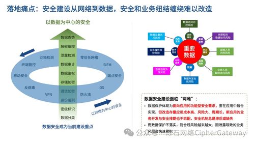 喜报！炼石入选中国信通院数据安全产业技术产品服务全景图数据处理服务领域